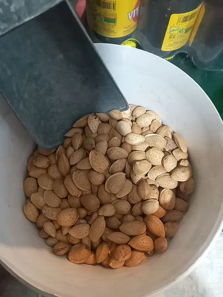 بادام سنگی|خوردنی و آشامیدنی|شیراز, شهرک مهرگان|دیوار