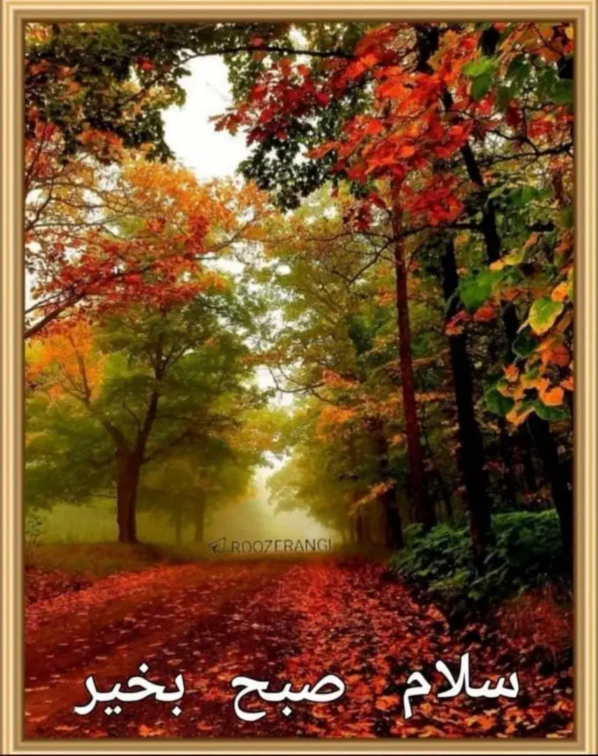 دریافت جایزه با این کد.milli-utspq|کارت هدیه و تخفیف|شیراز, کوشک میدان|دیوار