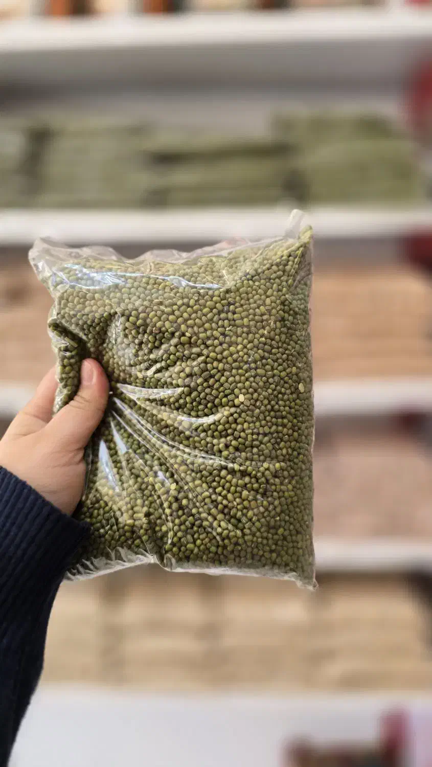 ماش خوش طعم|حراج|قم, باغ کرباسی|دیوار