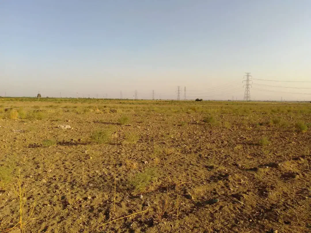 زمین کشاورزی|فروش دفتر صنعتی، کشاورزی، تجاری|نظرآباد, احمد آباد|دیوار