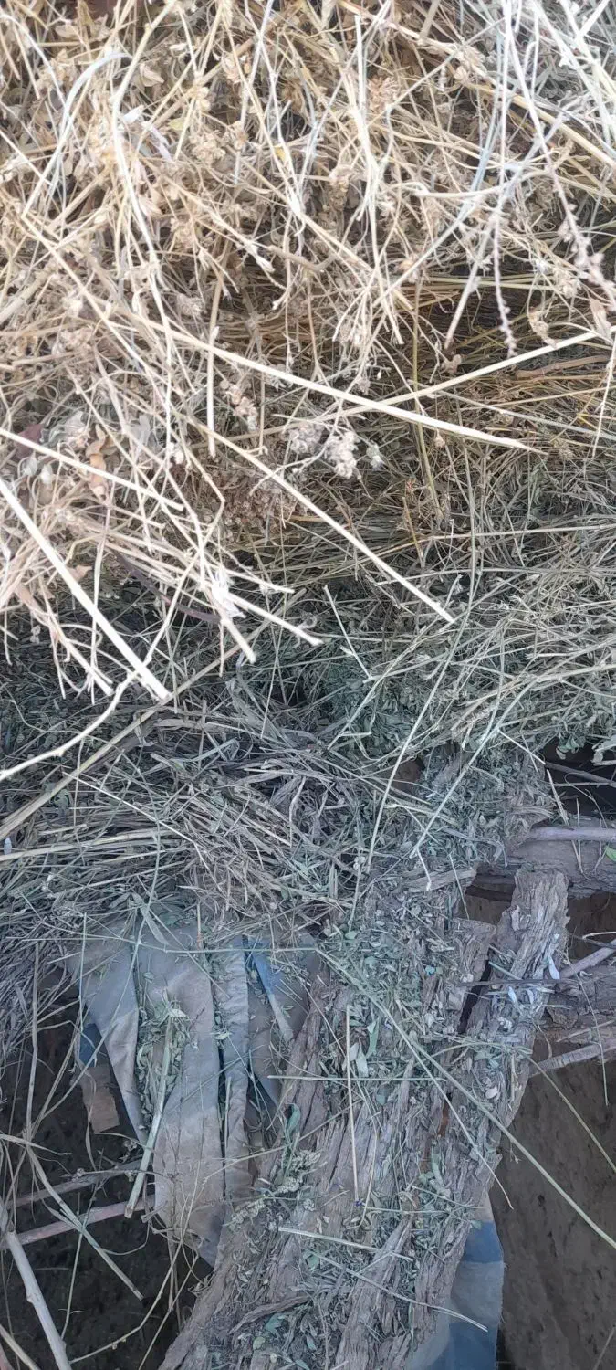 یونجه|حیوانات مزرعه|آوج, |دیوار