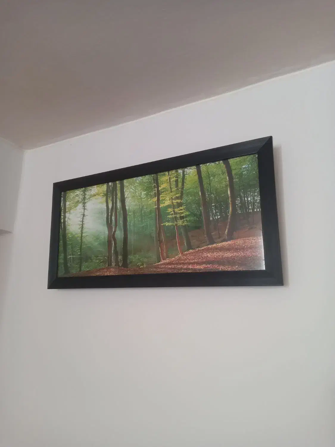 دو عدد تابلو|تابلو فرش|همدان, |دیوار