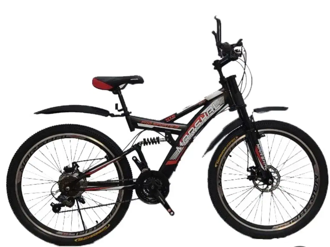 دوچرخه ۲۴|دوچرخه، اسکیت، اسکوتر|بجنورد, |دیوار