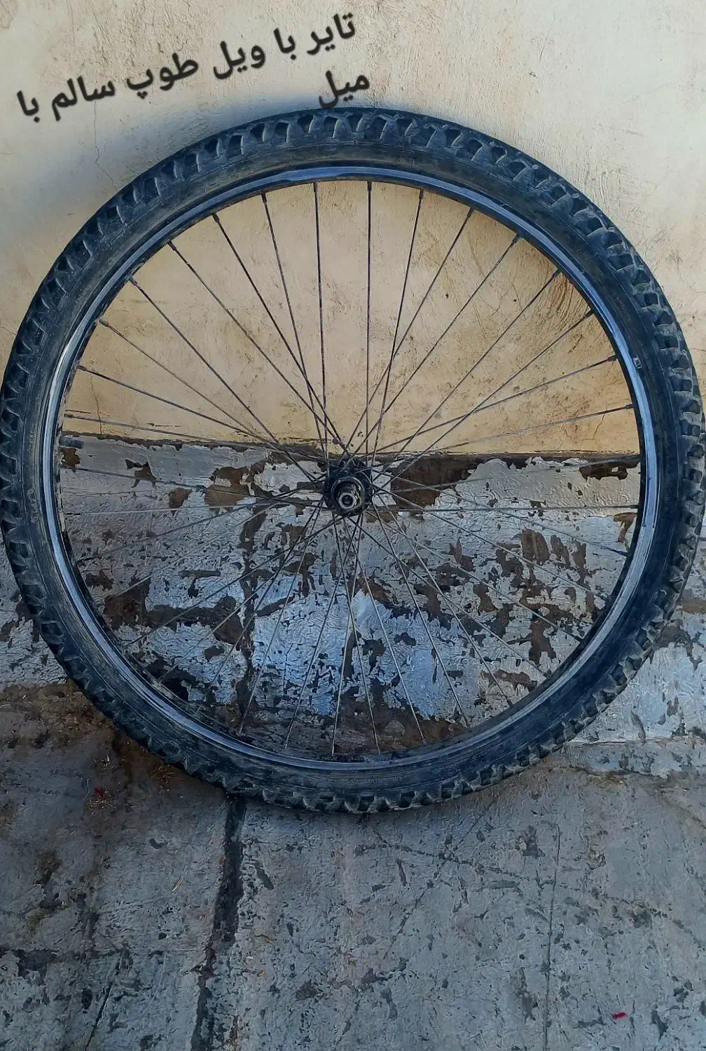 تایر ویل 26|دوچرخه، اسکیت، اسکوتر|اصفهان, ارزنان|دیوار