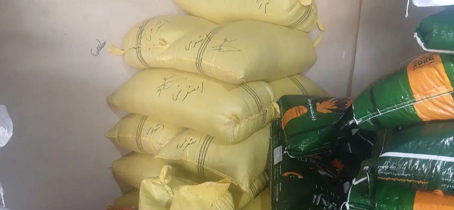 پخش تخمه ایرانی خارجی|خوردنی و آشامیدنی|کرج, میدان میوه و تره بار مرکزی|دیوار