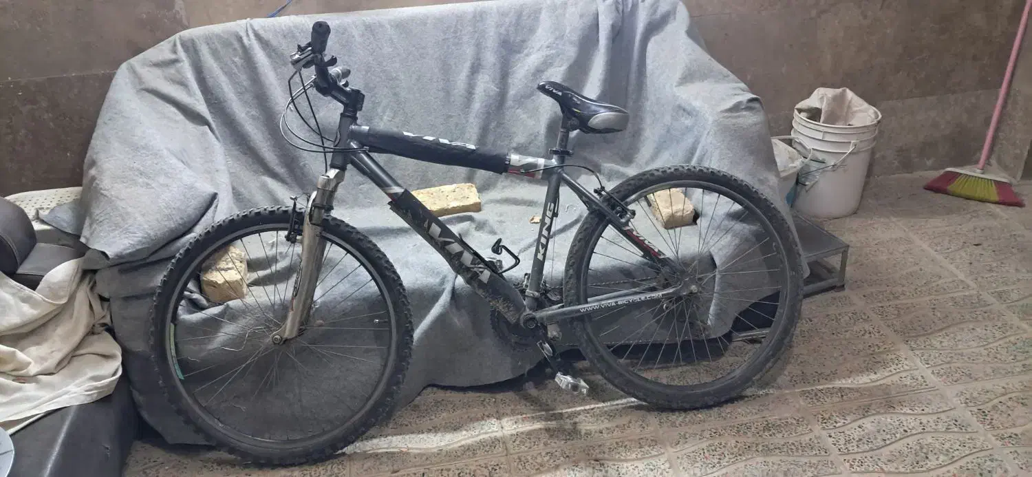 دوچرخه ۲۶|دوچرخه، اسکیت، اسکوتر|مهاجران, |دیوار