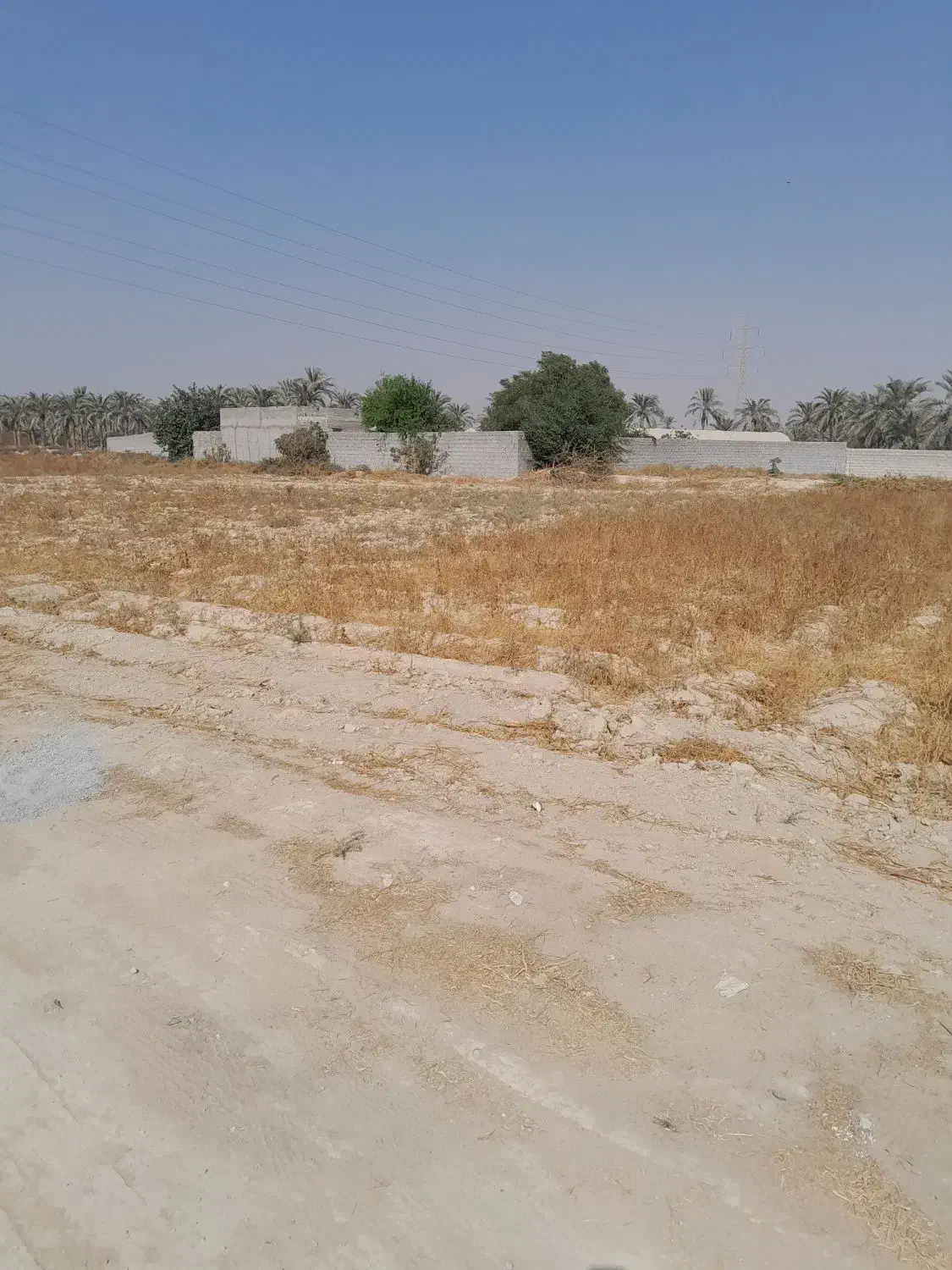 زمین مخصوص خانه باغ پشت بانک سپه|فروش زمین و ملک کلنگی|برازجان, |دیوار