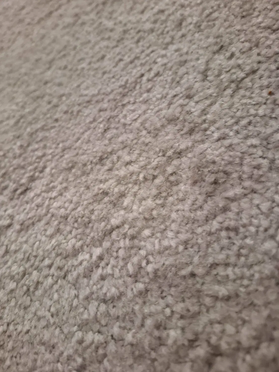 پالاز موکت رنگ توسی روشن 45 متر|موکت|همدان, |دیوار