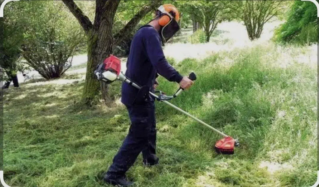 علف تراشی باغ و زمین های متراکم|خدمات باغبانی و درختکاری|آمل, |دیوار