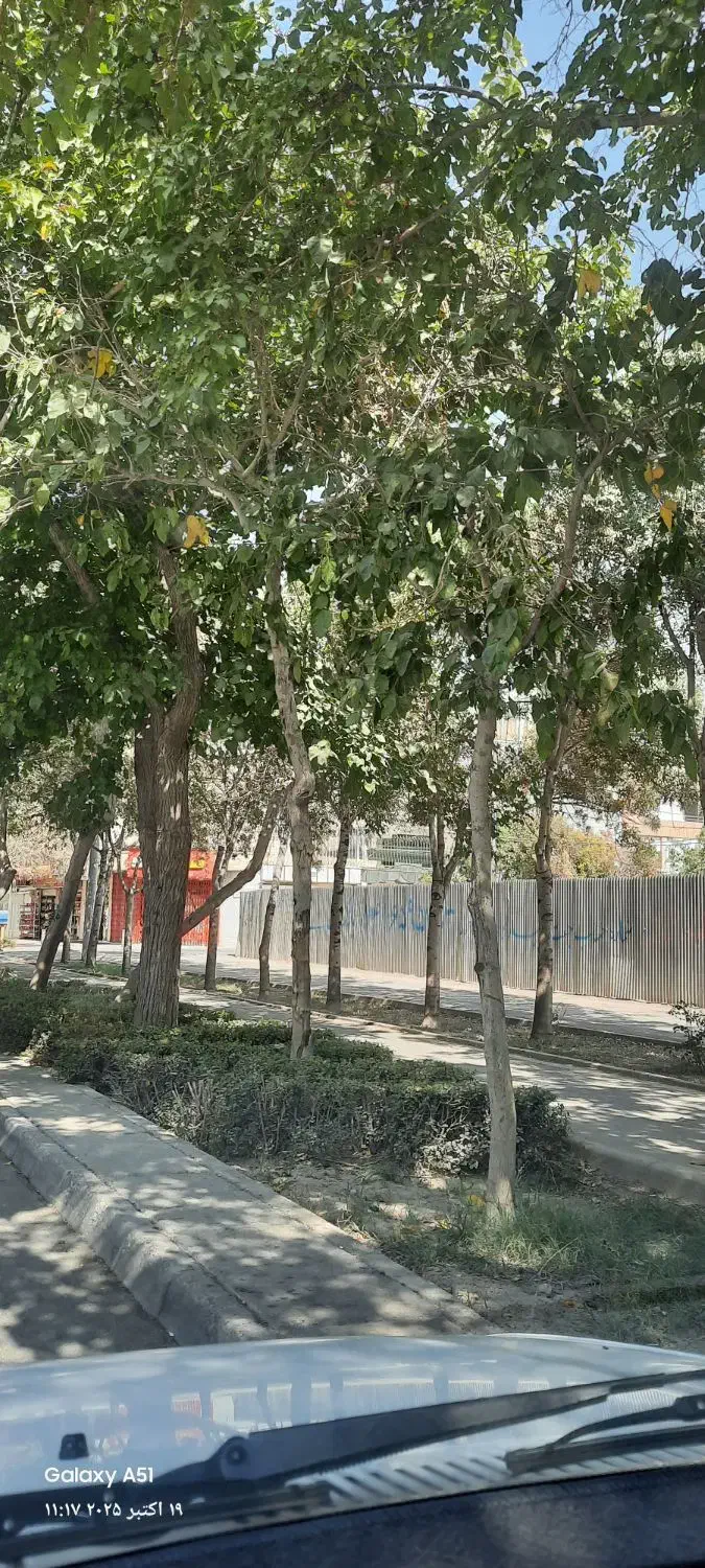 مفقودی کارت ملی|اشیا|اصفهان, ارزنان|دیوار