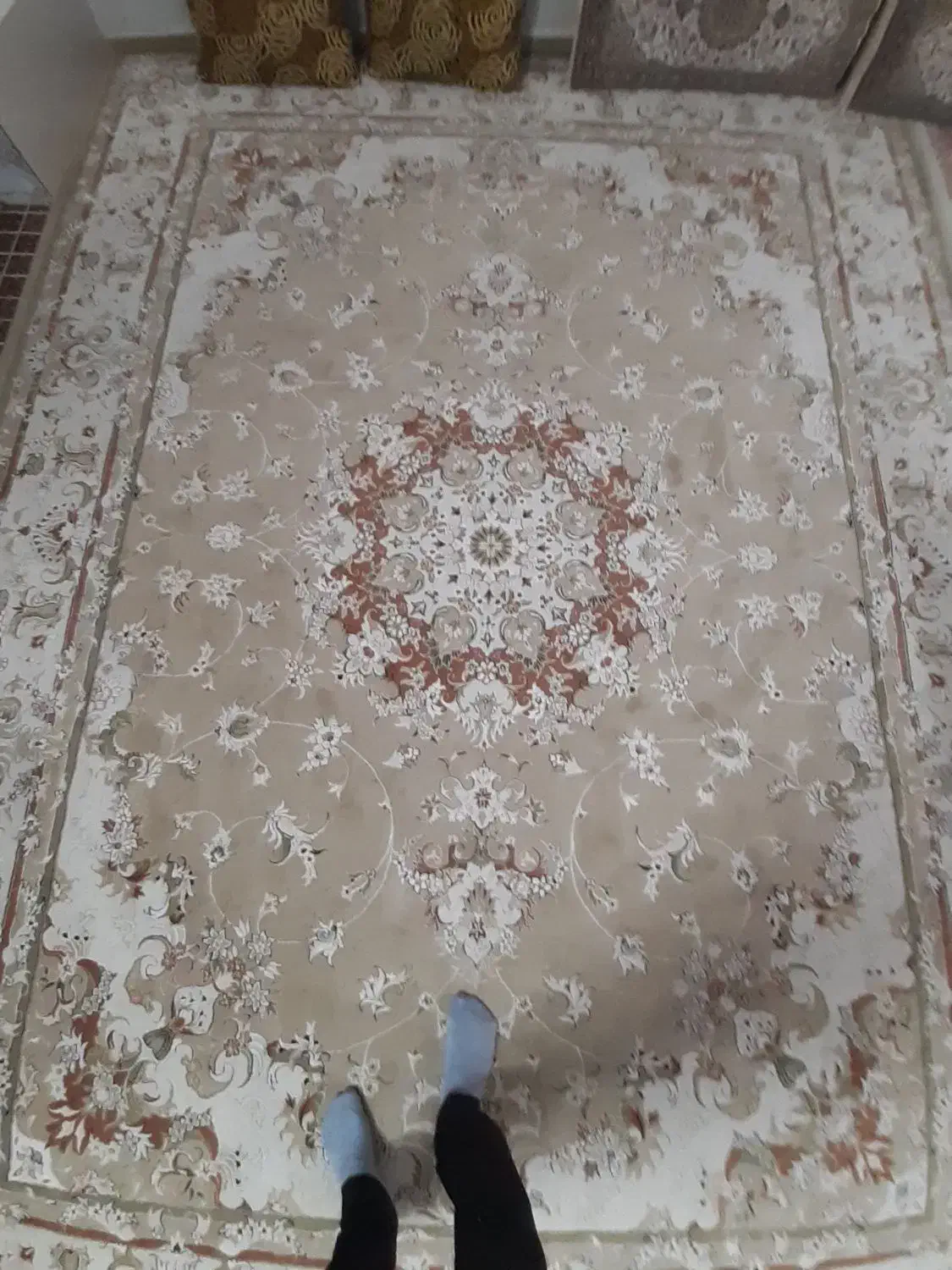 فرش ۱۲ متری|فرش|سبزوار, شهدا|دیوار