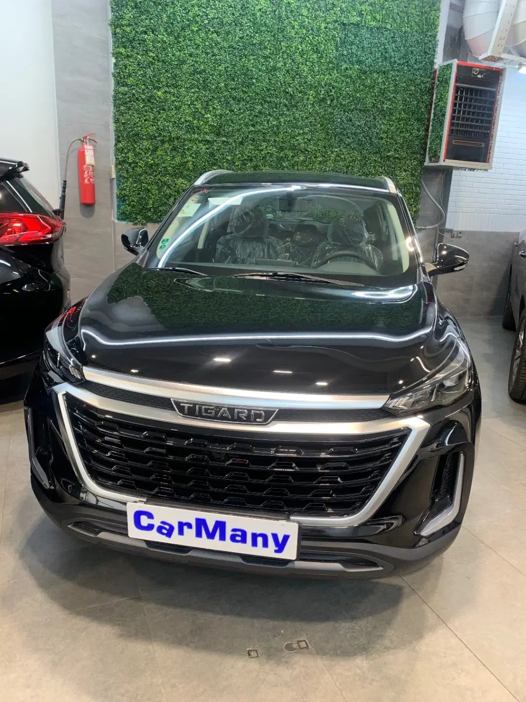 تیگارد زیر قیمت|خودرو سواری و وانت|تهران, مهران|دیوار