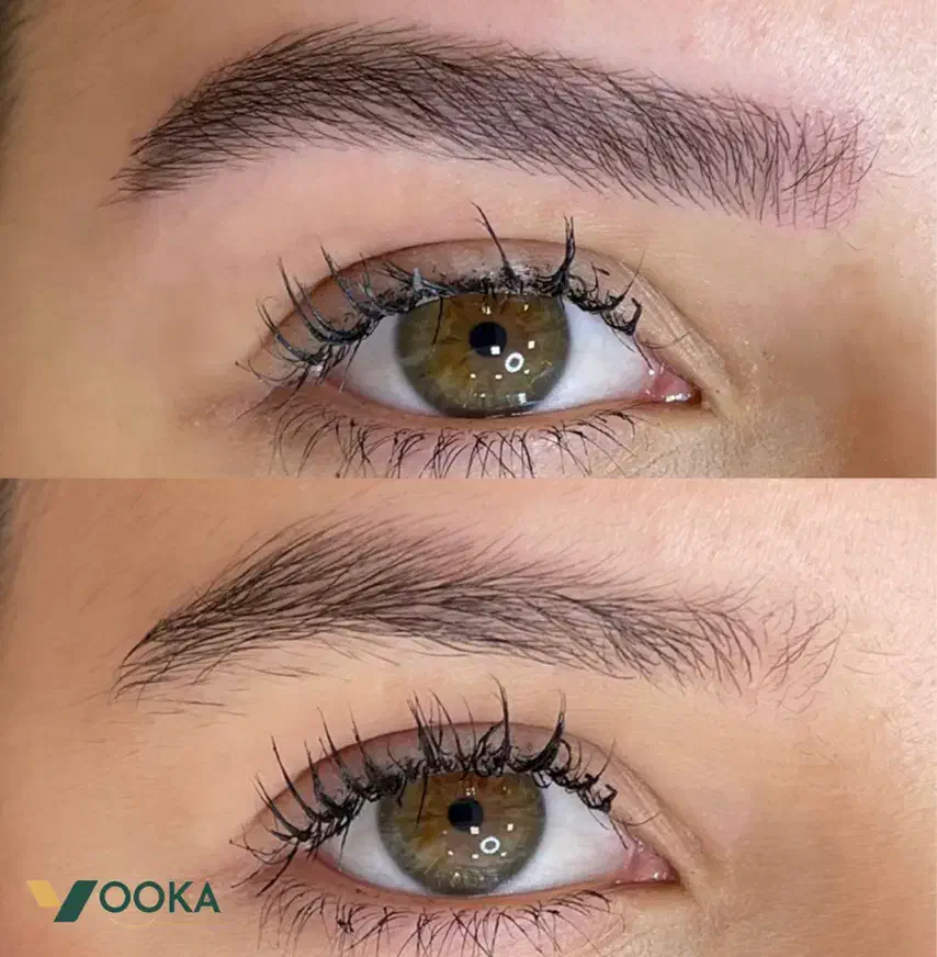 میکروبلیدینگ ابرو،شیدینگ لب،بن مژه و‌ ریموو|خدمات آرایشگری و زیبایی|تهران, سعادت‌آباد|دیوار