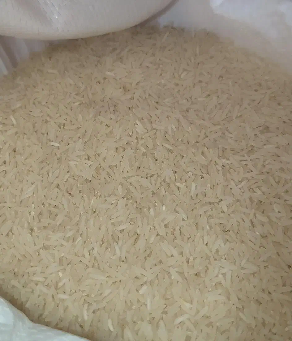 برنج فجر سوزنی درجه یک شموشک سفلی ۱۴۰۴|خوردنی و آشامیدنی|گرگان, |دیوار