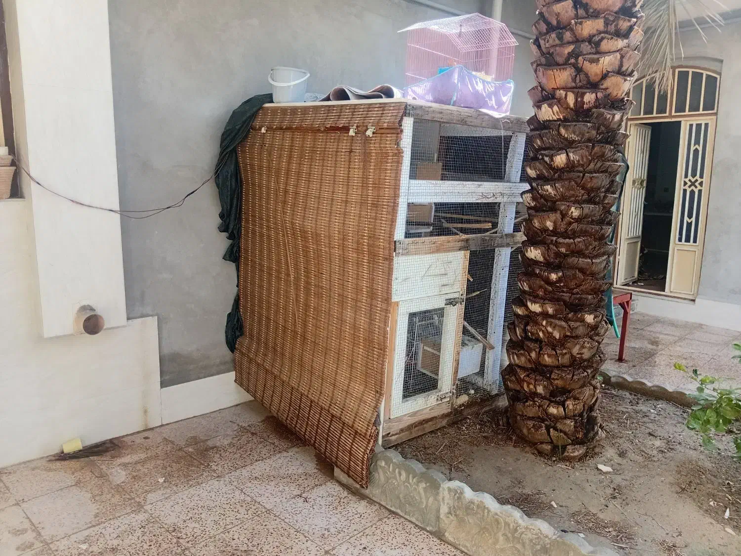 قفس مخصوص پرنده|لوازم جانبی حیوانات|ارد, |دیوار