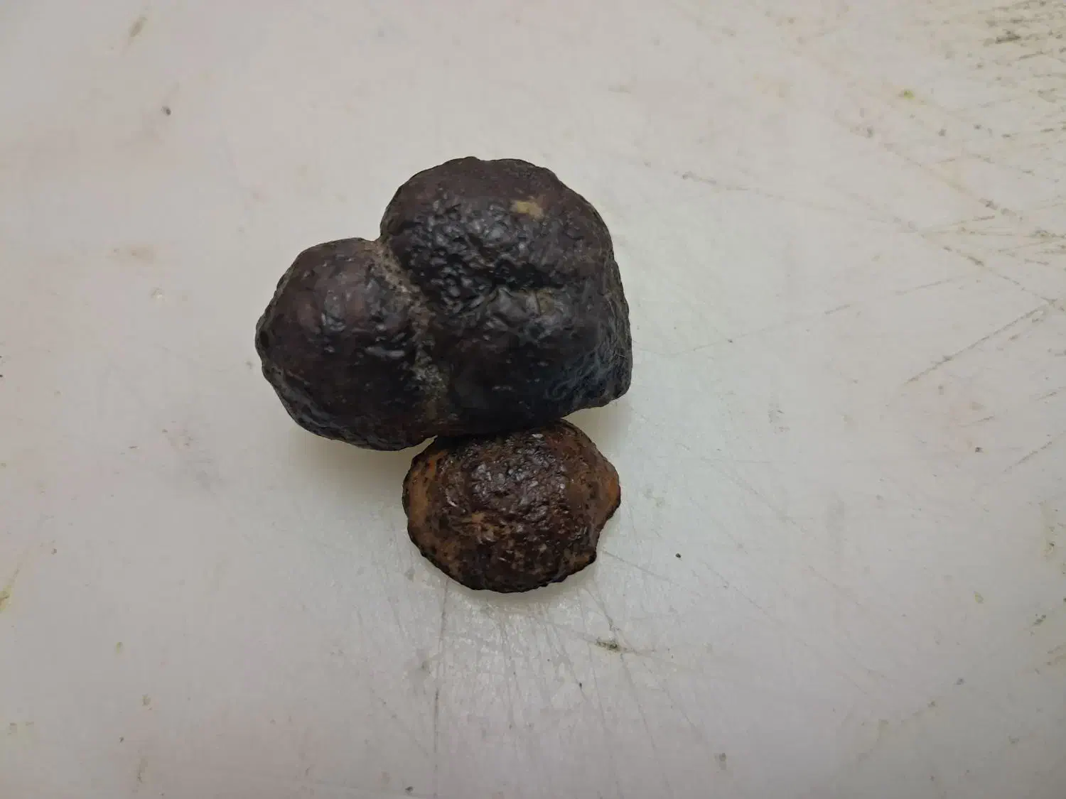 شهاب سنگ|کلکسیون اشیاء عتیقه|شیراز, حومه شیراز|دیوار