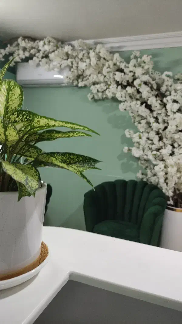 اجاره لاین در سالن زیبایی|اجارهٔ دفتر کار، اتاق اداری، مطب|شاهین‌شهر, مخابرات (شهید بهشتی)|دیوار