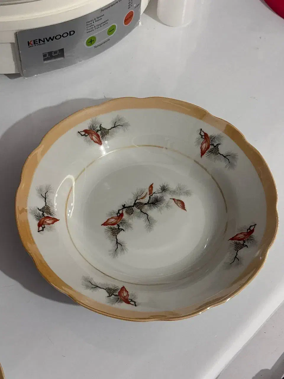 سرویس غذاخوری ۲۴ نفره چینی قیمت ۶۰۰۰/۰۰۰ تومان|ظروف سرو و پذیرایی|خرمآباد, |دیوار