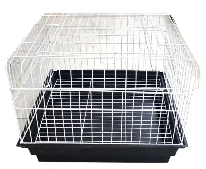 خوکچه و همستر|لوازم جانبی حیوانات|گلبهار, شهر جدید گلبهار|دیوار