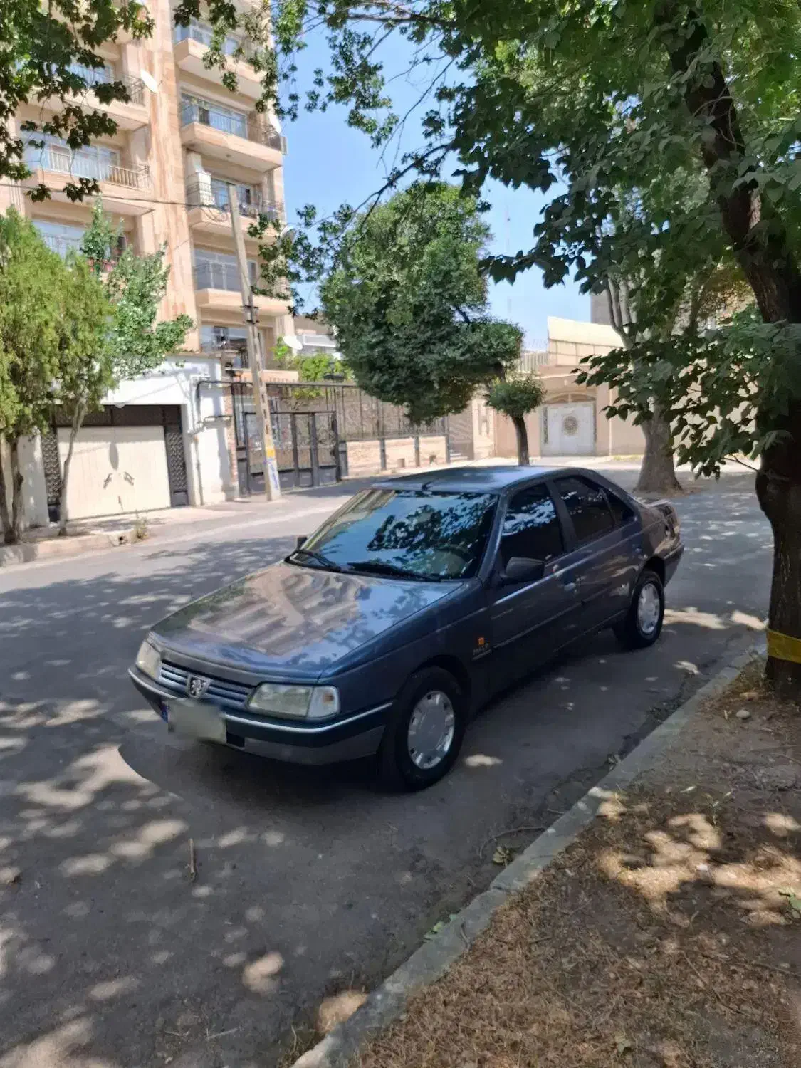 پژو ۴۰۵ مدل ۹۳ دوگانه کارخانه|خودرو سواری و وانت|تبریز, |دیوار