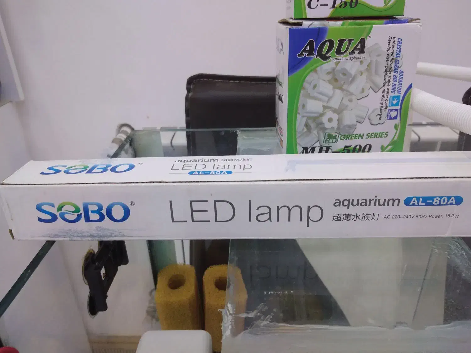 فروش آکواریوم|ماهی|بهبهان, |دیوار