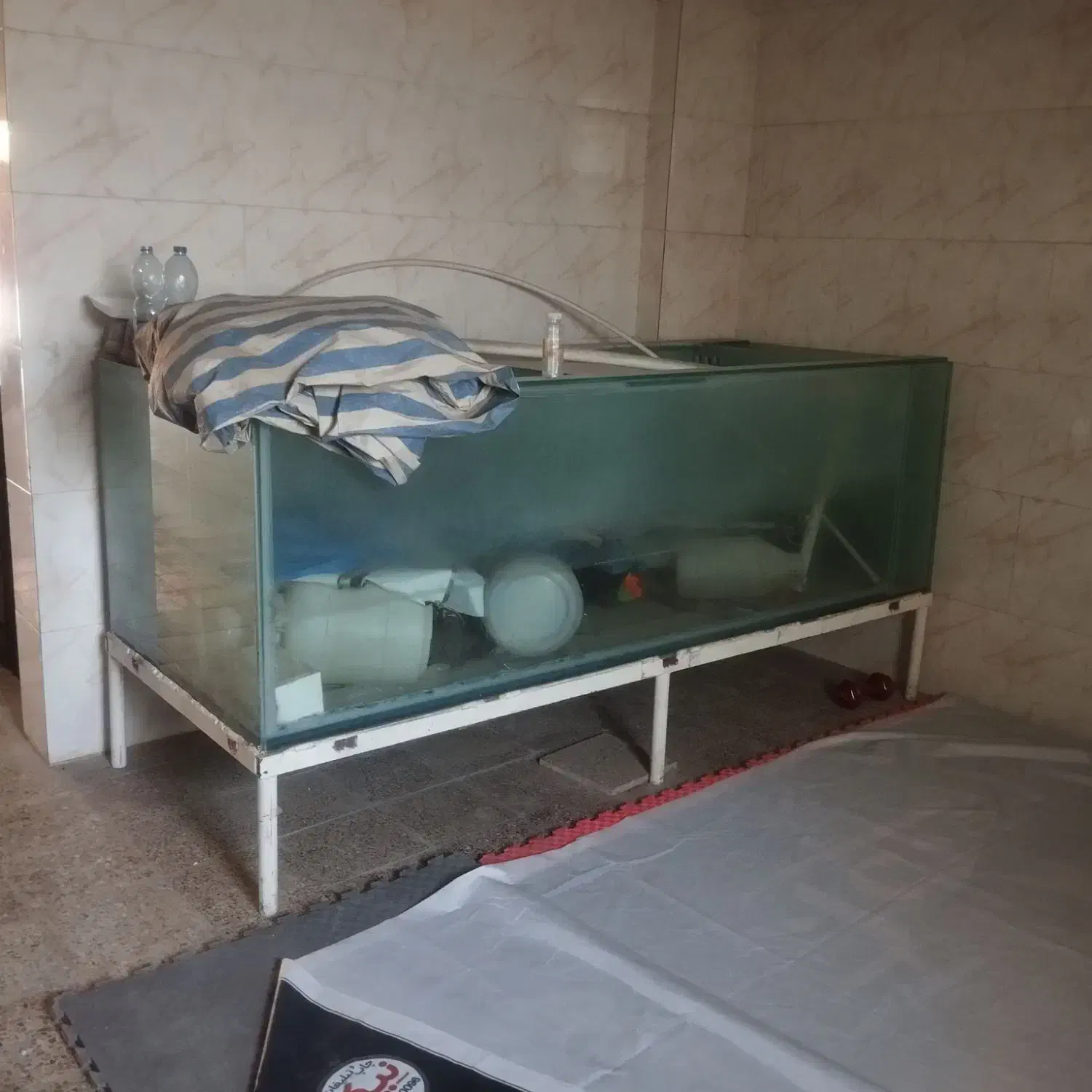 آکواریوم خیلی بزرگ|ماهی|خرم‌آباد, |دیوار