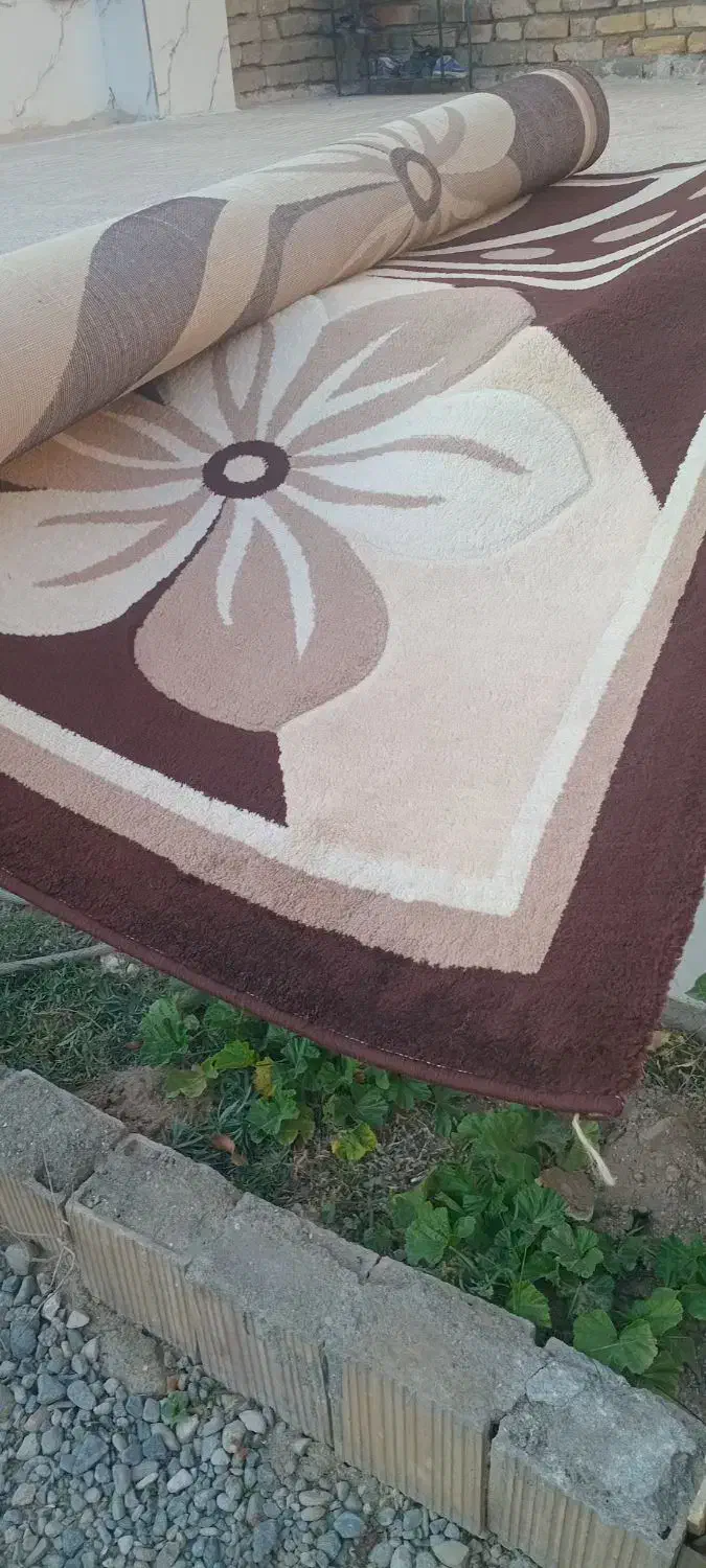 دوتا گلیم فرش دو در دونیمدرحدنو|گلیم، جاجیم، گبه|بافت, |دیوار