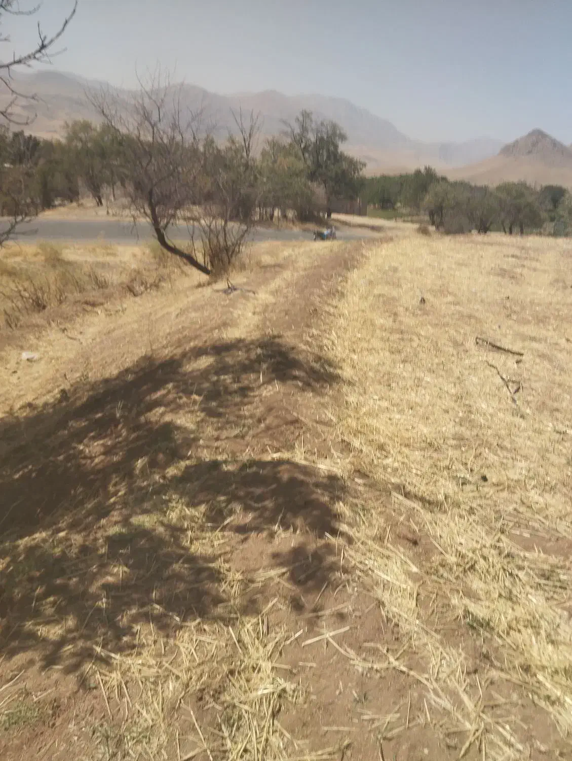 زمین مرغوب درجه بغل روستاوکتارجاده اصلی|فروش زمین و ملک کلنگی|دینور, |دیوار