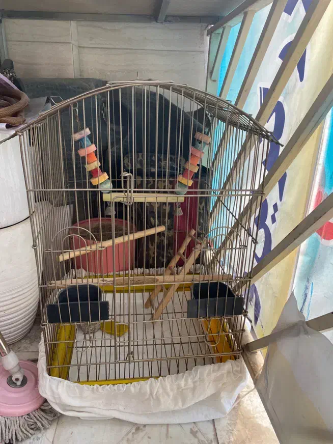 قفس پرنده|لوازم جانبی حیوانات|پاکدشت, پاکدشت (مامازند)|دیوار