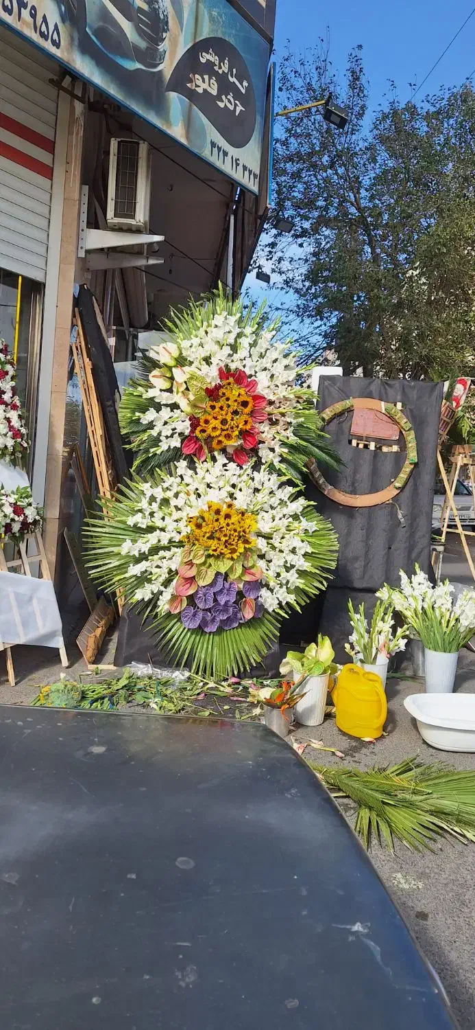 تاج گل ختم|گل و گیاه طبیعی|تبریز, |دیوار