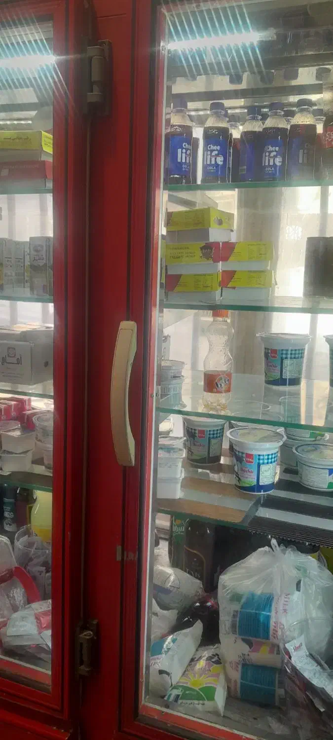 یخچال فروشگاهی|فروشگاه و مغازه|مشهد, کوی دروی|دیوار