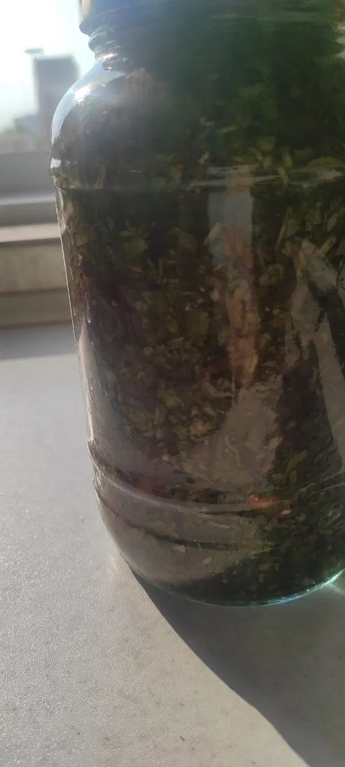 ترشی بادمجون تازه|خوردنی و آشامیدنی|نوشهر, |دیوار