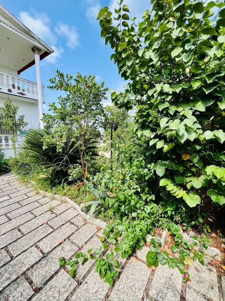 * ویلاباغ رومی تو دل شمال * زیرفقیمت|فروش خانه و ویلا|چمستان, |دیوار