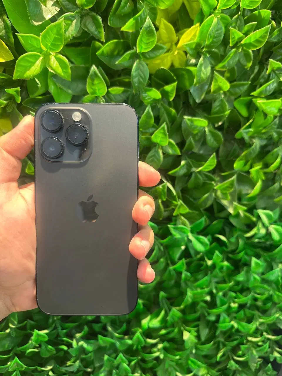 iPhone 14 promax|موبایل|بابل, |دیوار