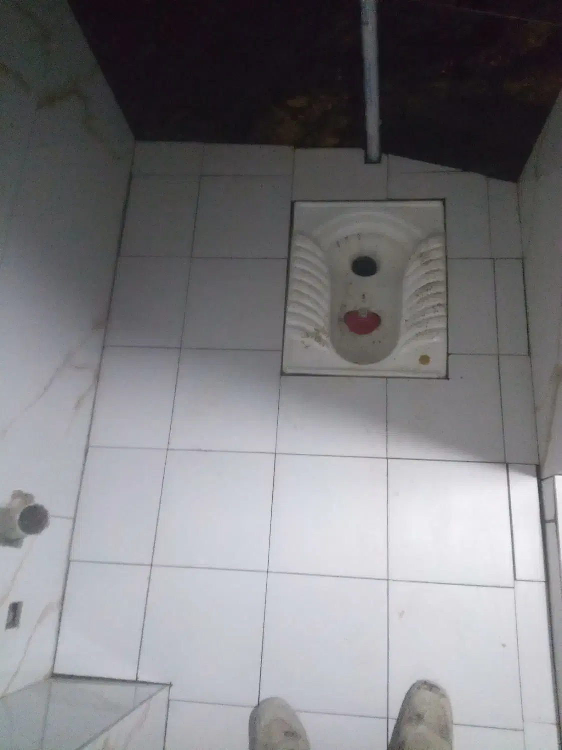 کاشی کاری و سرامیک کاری|خدمات پیشه و مهارت|شوط, |دیوار