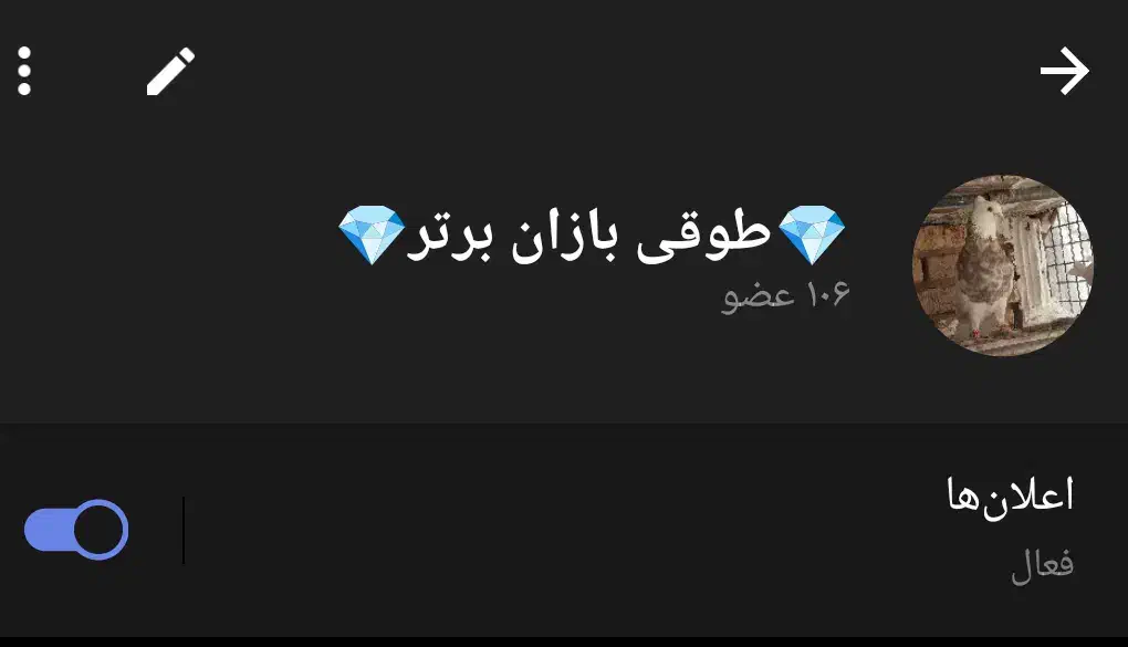 گروه خرید فروش کبوتر فوری....|پرنده|لامرد, |دیوار