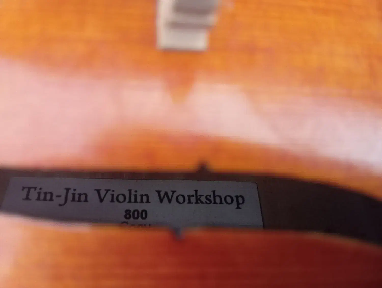 ویولن حرفه ای tf 800|ویولن|کرمانشاه, |دیوار