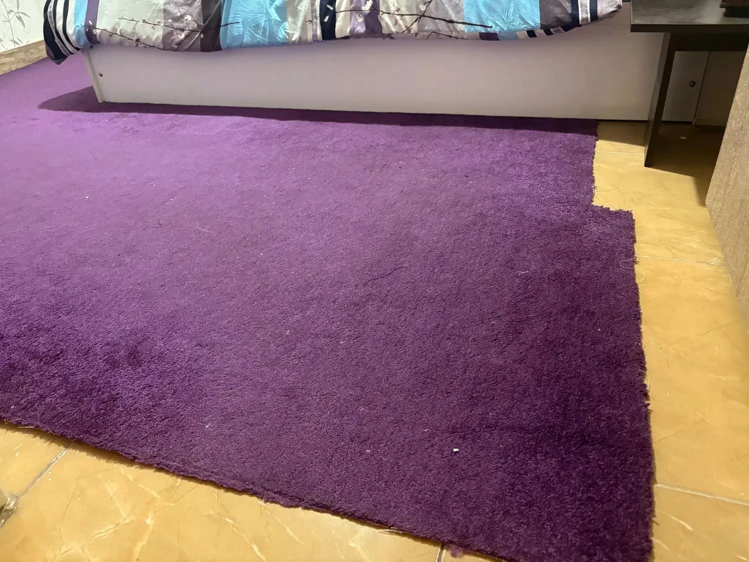 پالاز موکت|موکت|همدان, |دیوار