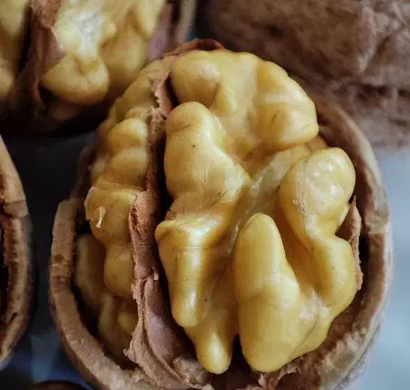 گردو کاغذی درجه 1|خوردنی و آشامیدنی|شاهین دژ, |دیوار