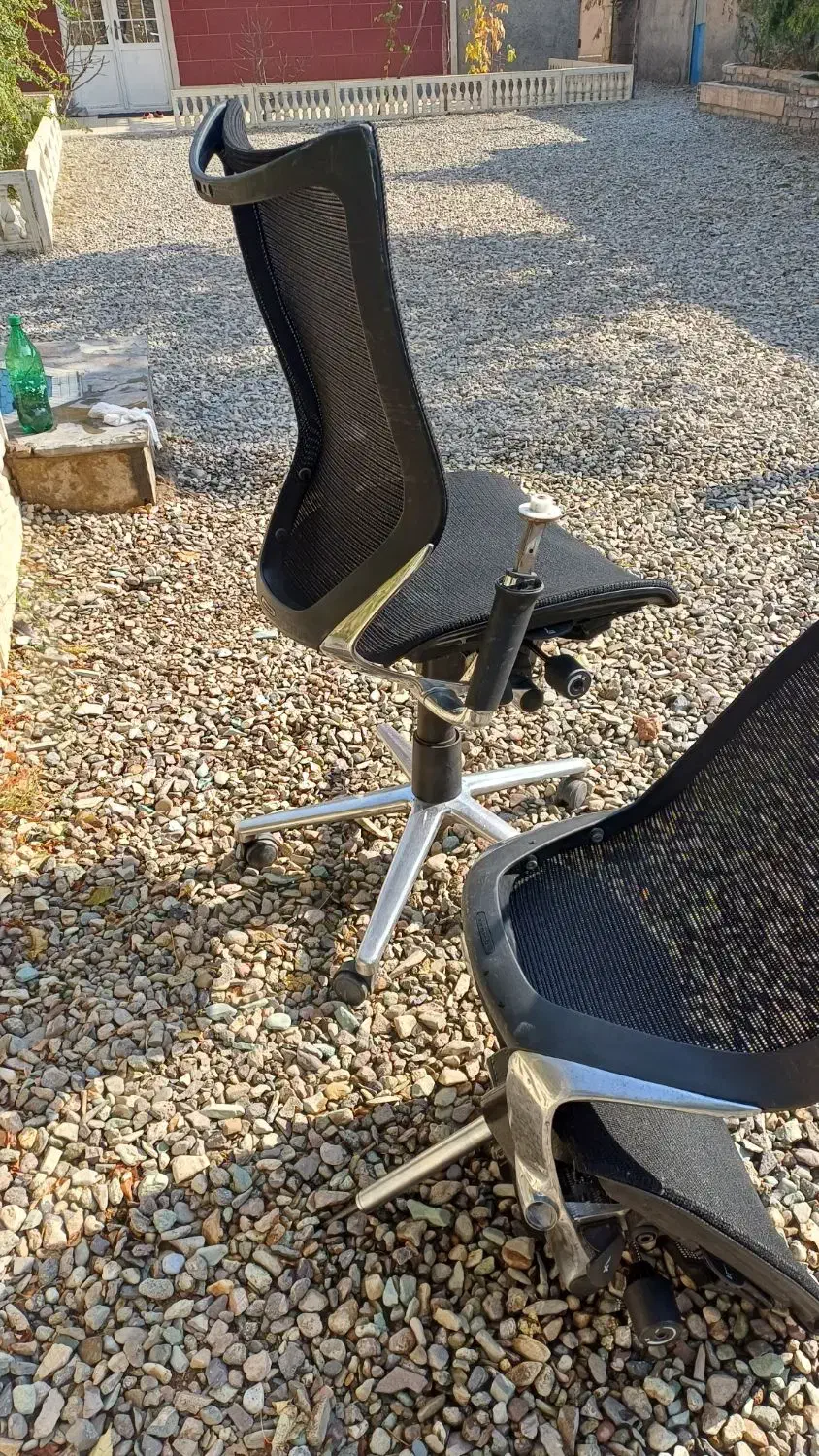 صندلی اروند|صندلی و نیمکت|آبیک, |دیوار