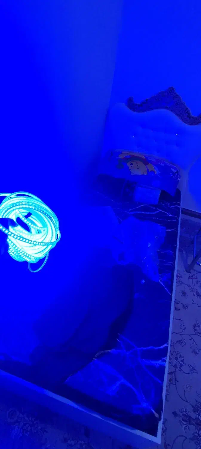 ریسه شلنگی LED|ریسه و چراغ تزئینی|قروه, |دیوار