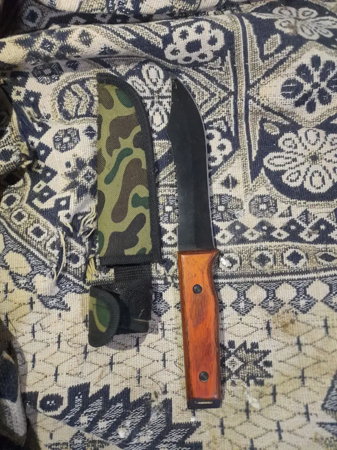 کبوتر معاوضه|کلکسیون و سرگرمی|گنبد کاووس, |دیوار