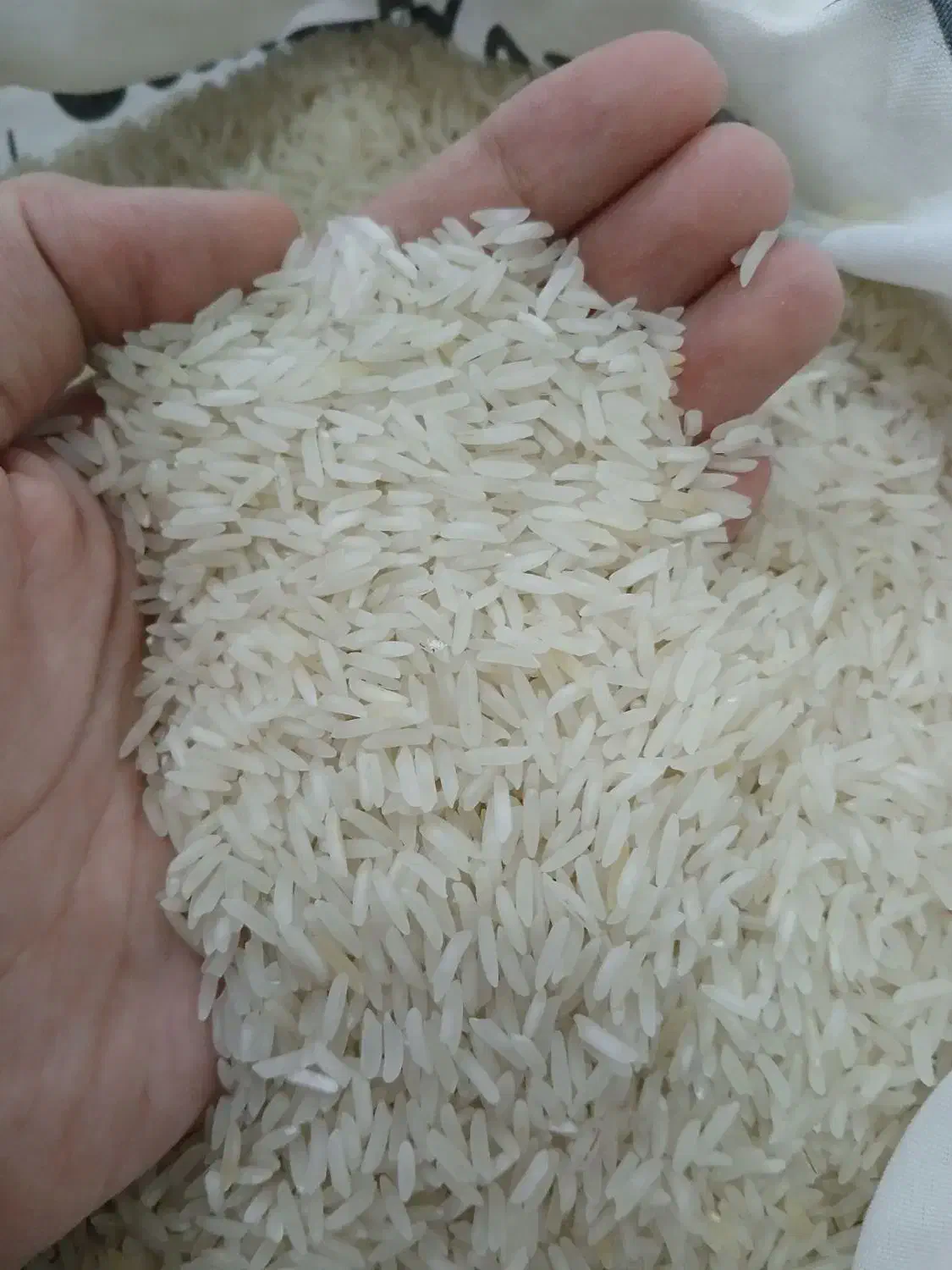 برنج هاشمی|خوردنی و آشامیدنی|شهریار, شهرک امیریه|دیوار