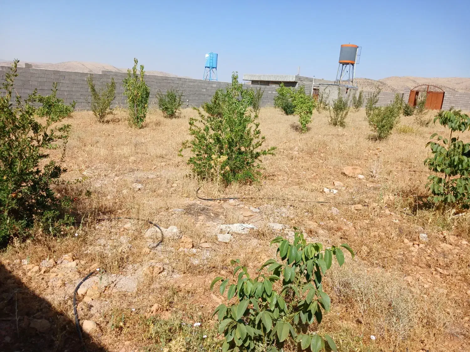 فروش زمین باغی ۱۰۴۰ متری شیراز روستای آب پرده|فروش زمین و ملک کلنگی|شیراز, کودیان|دیوار
