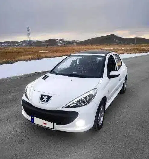 *207 پانورما دندهای TU5P*|خودرو سواری و وانت|بهبهان, |دیوار