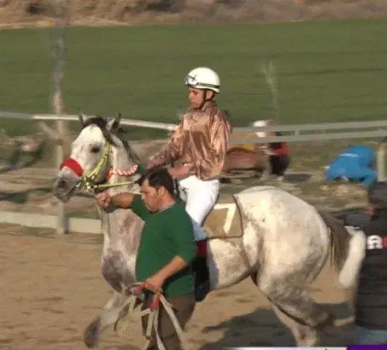 اسب|اسب و تجهیزات اسب‌سواری|مشهد, حرم مطهر رضوی|دیوار