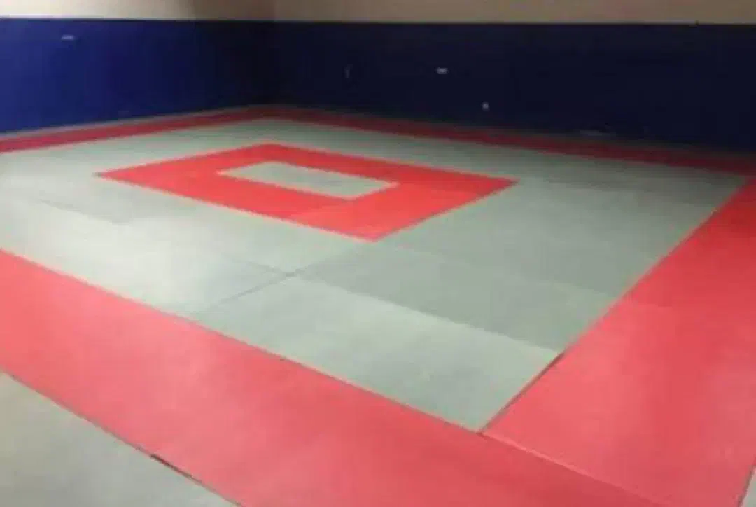 تشک جودو دو تخته|تجهیزات ورزشی|تهران, حافظیه|دیوار