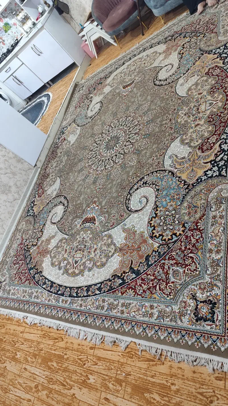 دوعدد قالی|فرش|اهواز, پردیس دو|دیوار