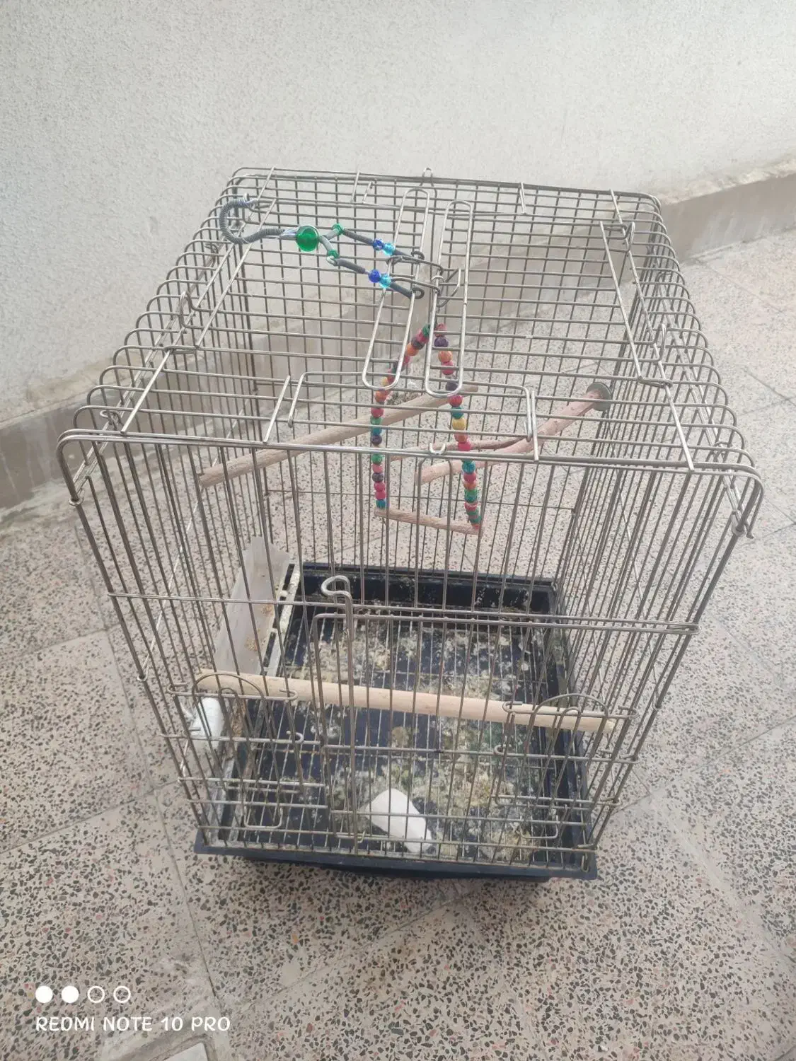 قفس طوطی|لوازم جانبی حیوانات|کرمانشاه, |دیوار