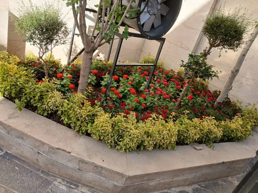 خدمات باغبانی باغچه کاری گلکاری هرس کاری چمن‌کاری|خدمات باغبانی و درختکاری|لواسان, |دیوار